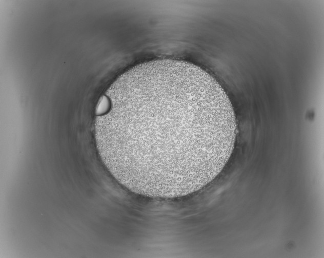 X0000090750913200708172024