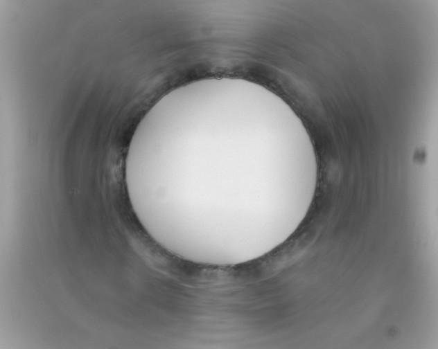 X0000090750914200708172024