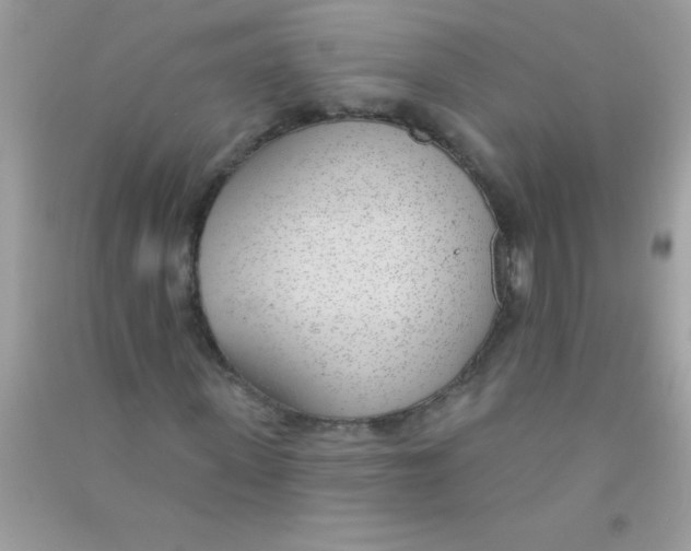 X0000090750915200708172024