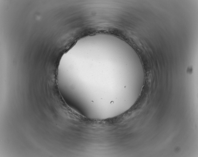 X0000090750916200708172024