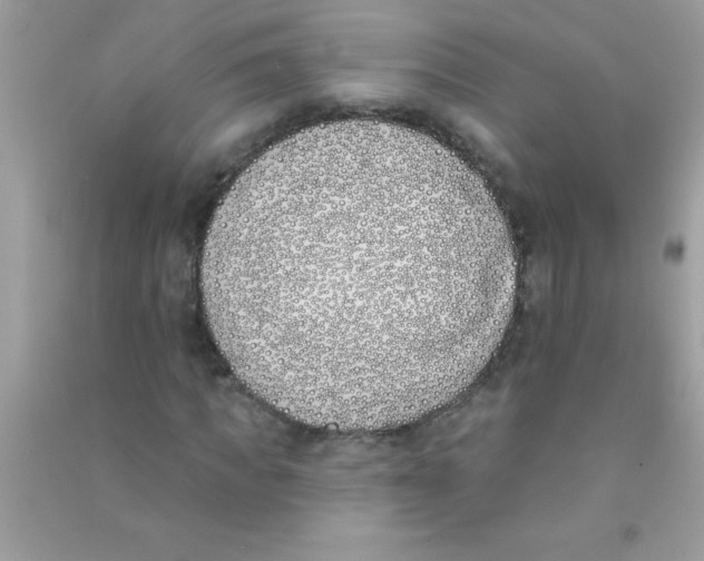 X0000090750917200708172024