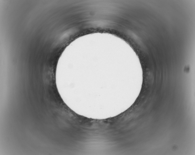 X0000090750918200708172024
