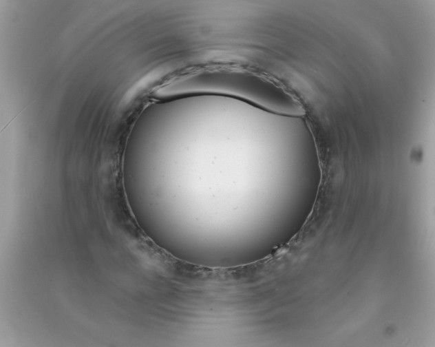 X0000090750920200708172024