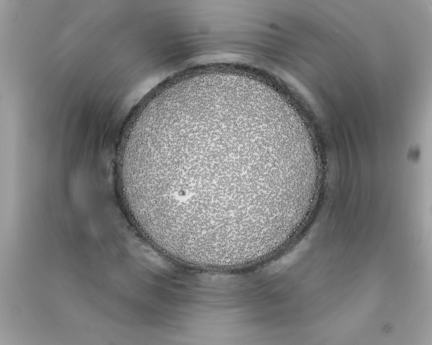 X0000090750921200708172024