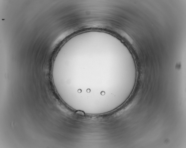 X0000090750922200708172024