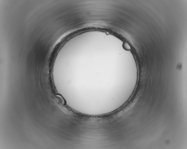 X0000090750923200708172024