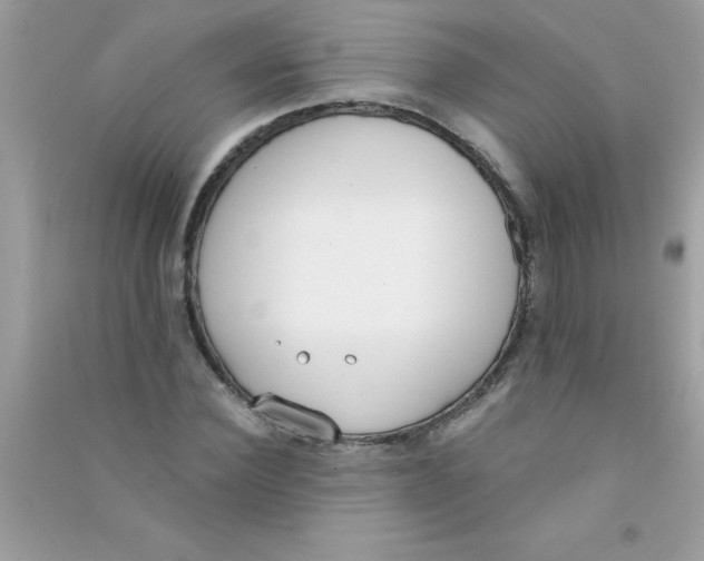 X0000090750924200708172024