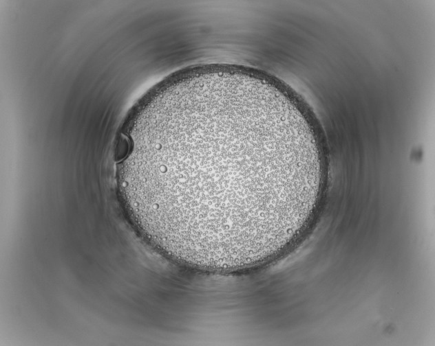 X0000090750925200708172024
