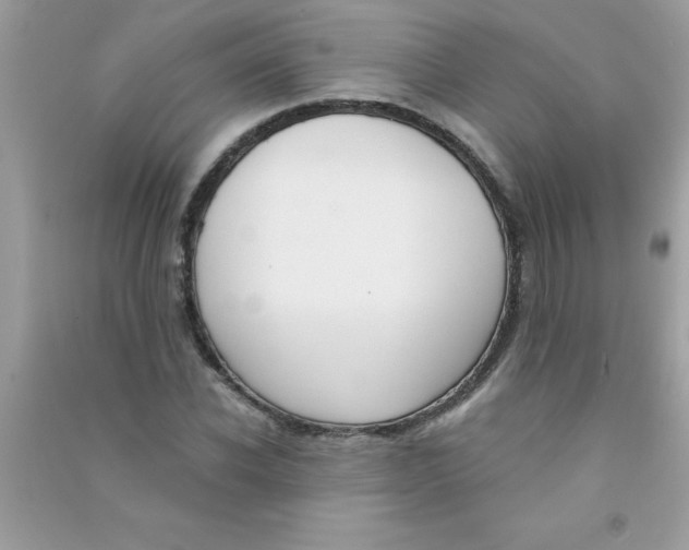 X0000090750926200708172024