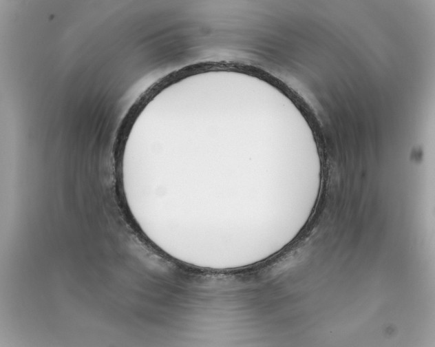 X0000090750927200708172024