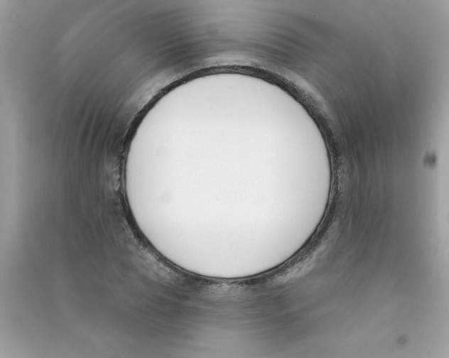 X0000090750929200708172024