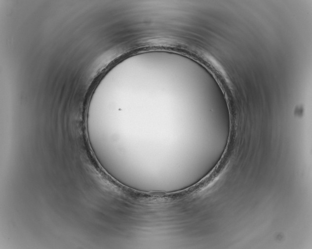 X0000090750930200708172024