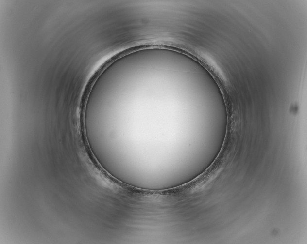 X0000090750932200708172024