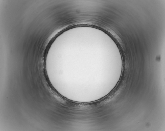 X0000090750933200708172024