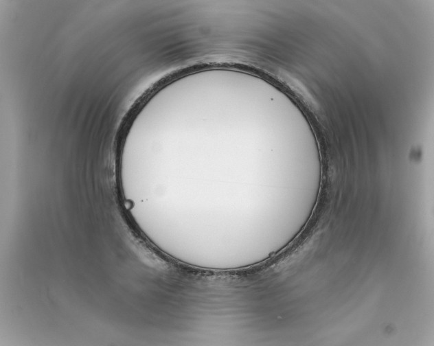 X0000090750934200708172024