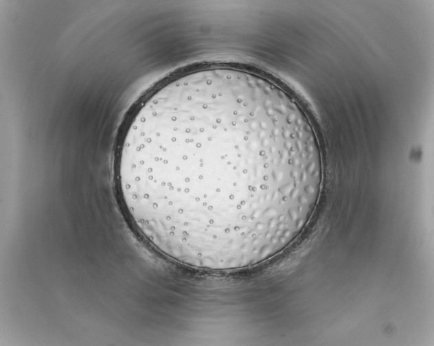 X0000090750935200708172024