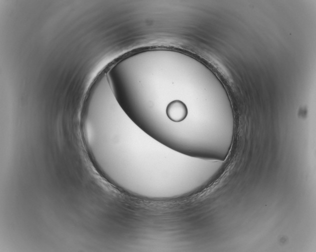 X0000090750936200708172024