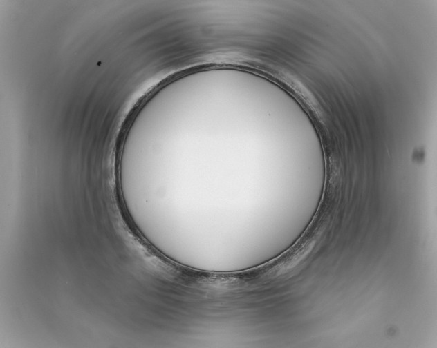 X0000090750939200708172024