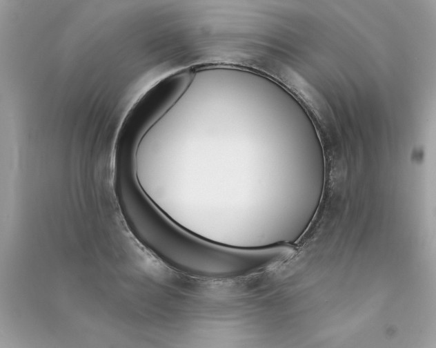 X0000090750940200708172024