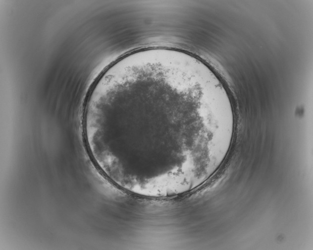 X0000090750941200708172024