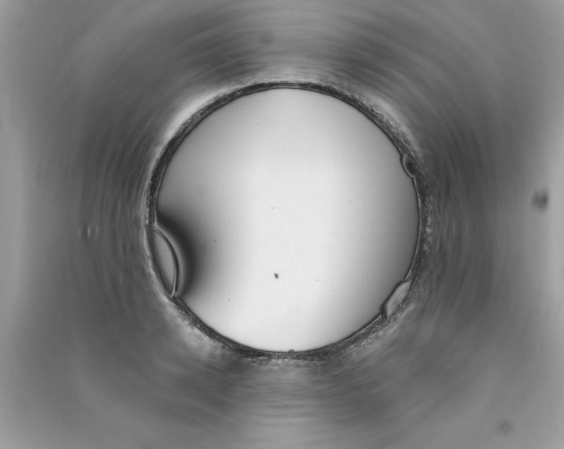 X0000090750942200708172024