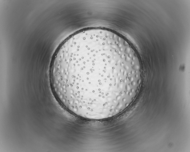 X0000090750943200708172024