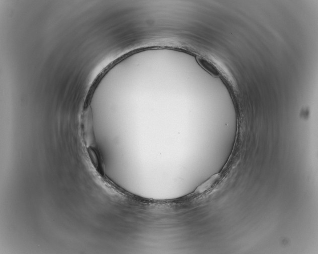 X0000090750944200708172024