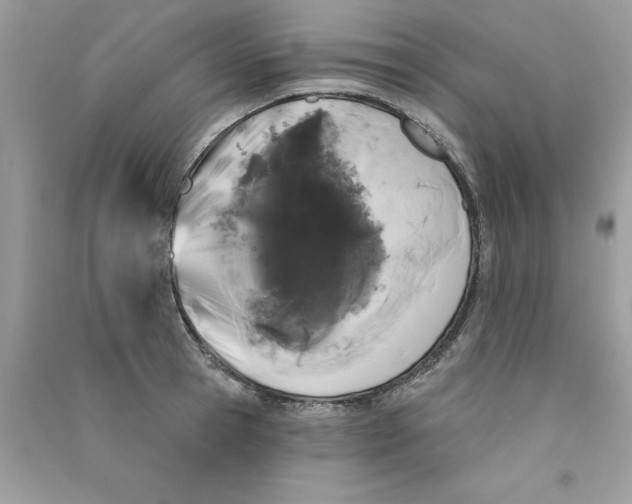 X0000090750945200708172024