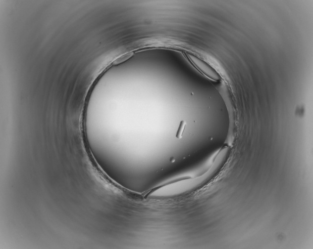 X0000090750946200708172024