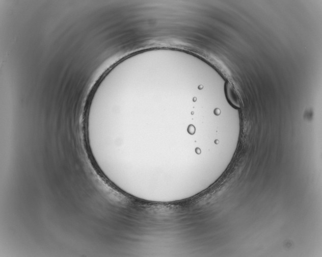 X0000090750947200708172024