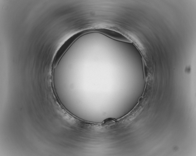 X0000090750948200708172024