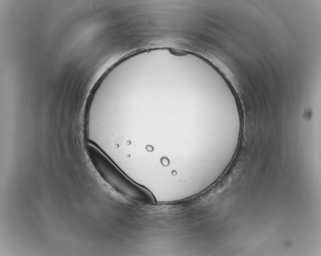 X0000090750949200708172024
