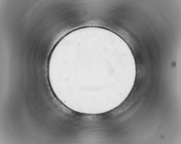 X0000090750950200708172024