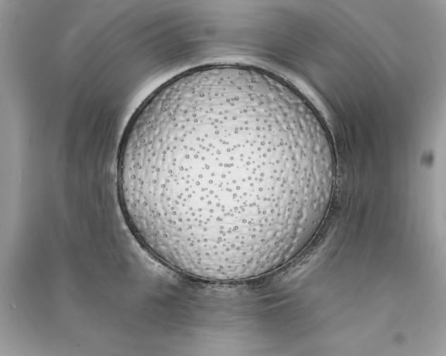 X0000090750951200708172024