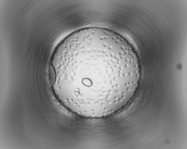 X0000090750952200708172024