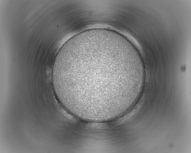 X0000090750953200708172024