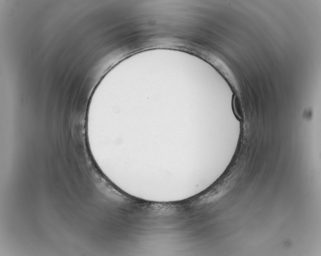 X0000090750954200708172024