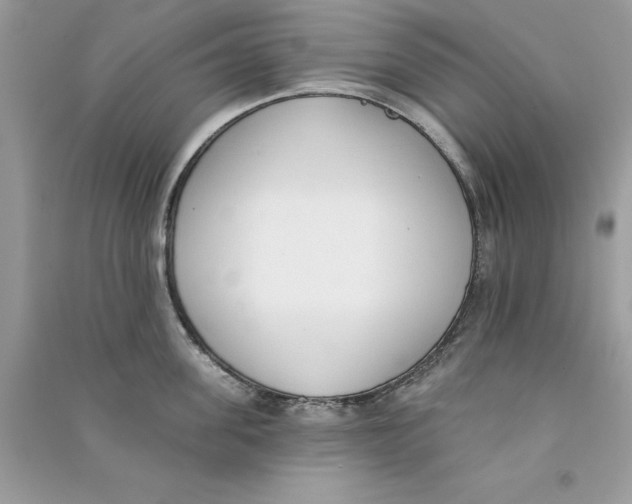 X0000090750955200708172024