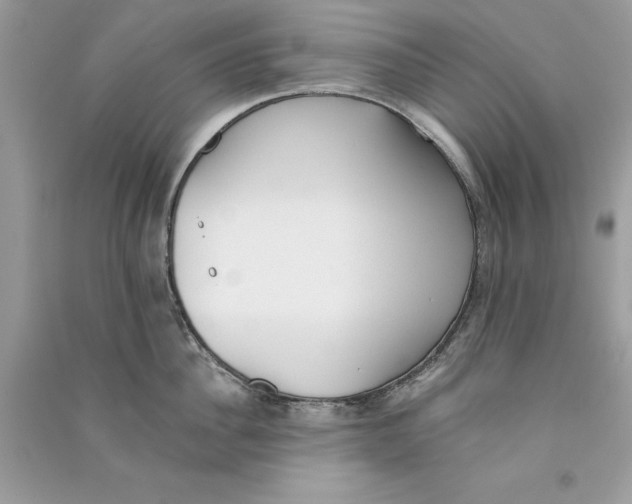X0000090750956200708172024