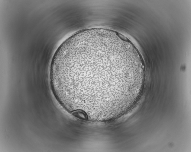 X0000090750957200708172025
