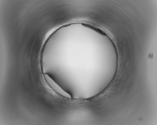 X0000090750960200708172025