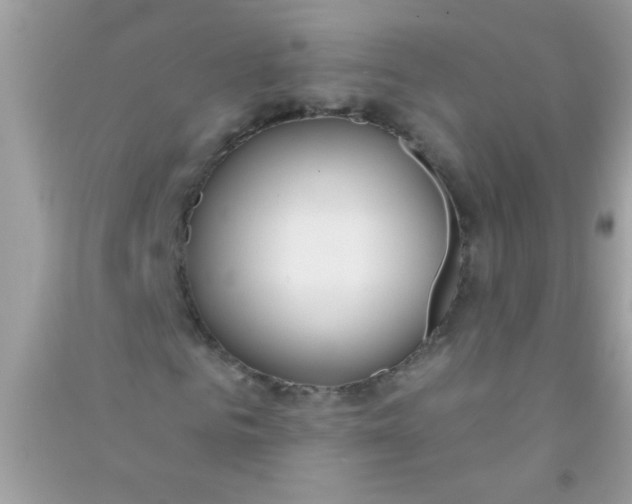 X0000090750961200708172024