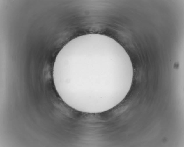 X0000090750962200708172024