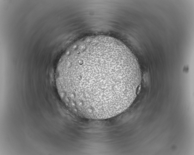 X0000090750963200708172024