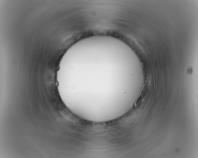 X0000090750964200708172024