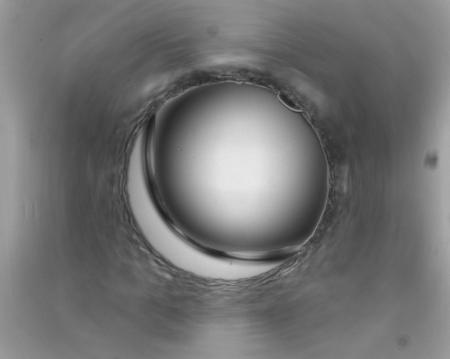 X0000090750965200708172024