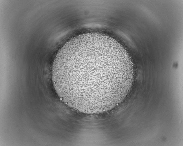 X0000090750966200708172024