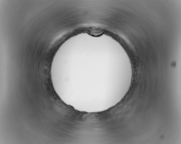 X0000090750967200708172024