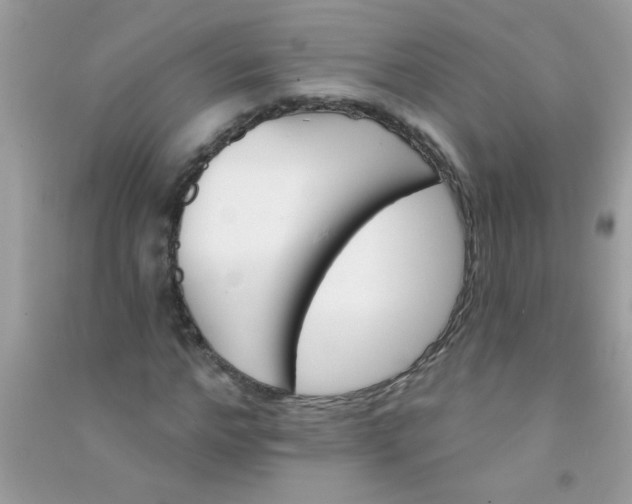 X0000090750968200708172024