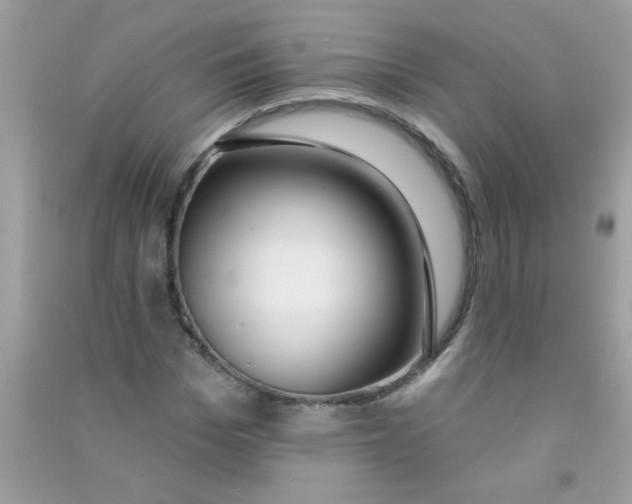 X0000090750969200708172024